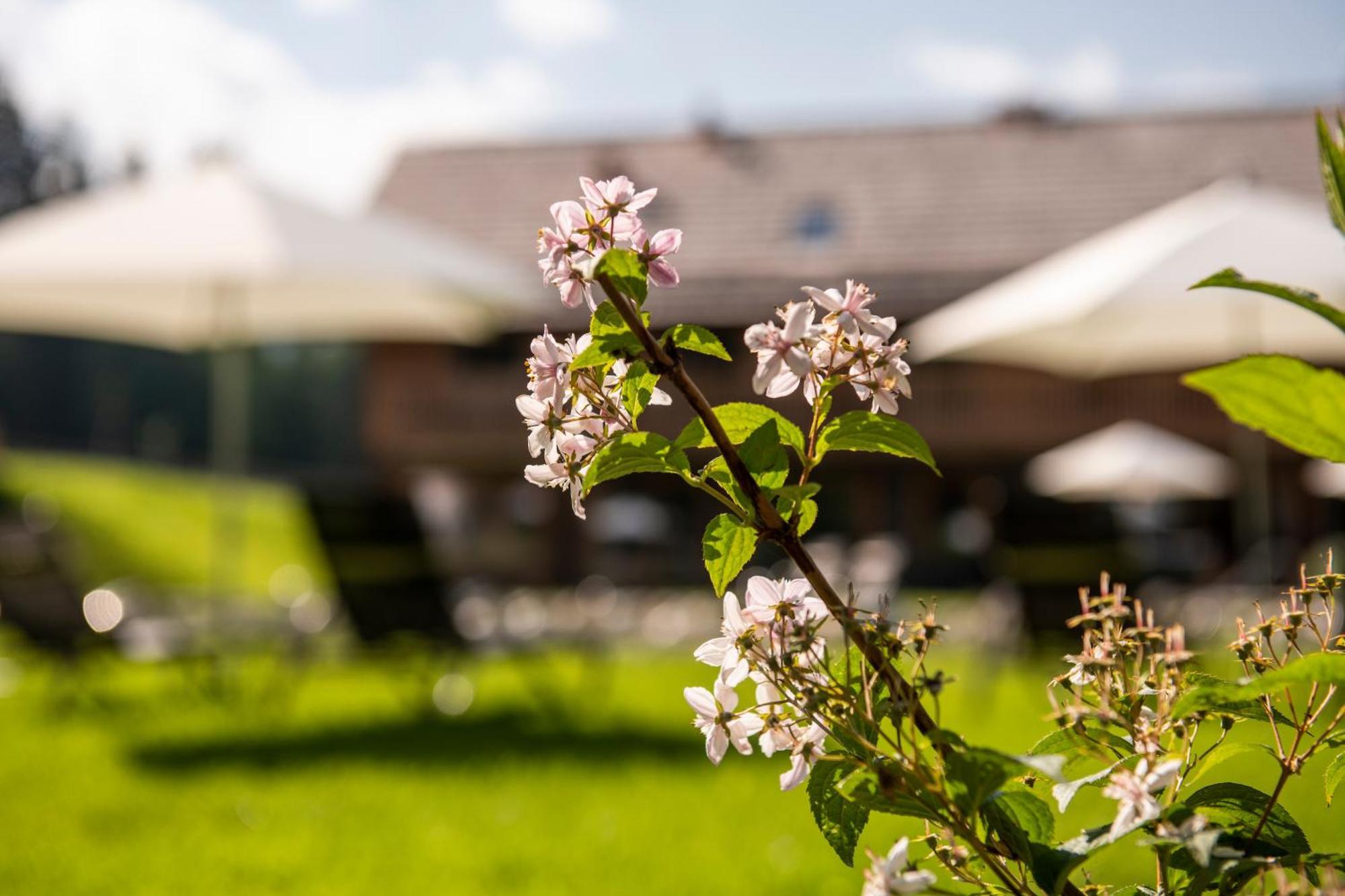 טאמסווג Lerchpeuntgut Alpenfreud Apartments מראה חיצוני תמונה