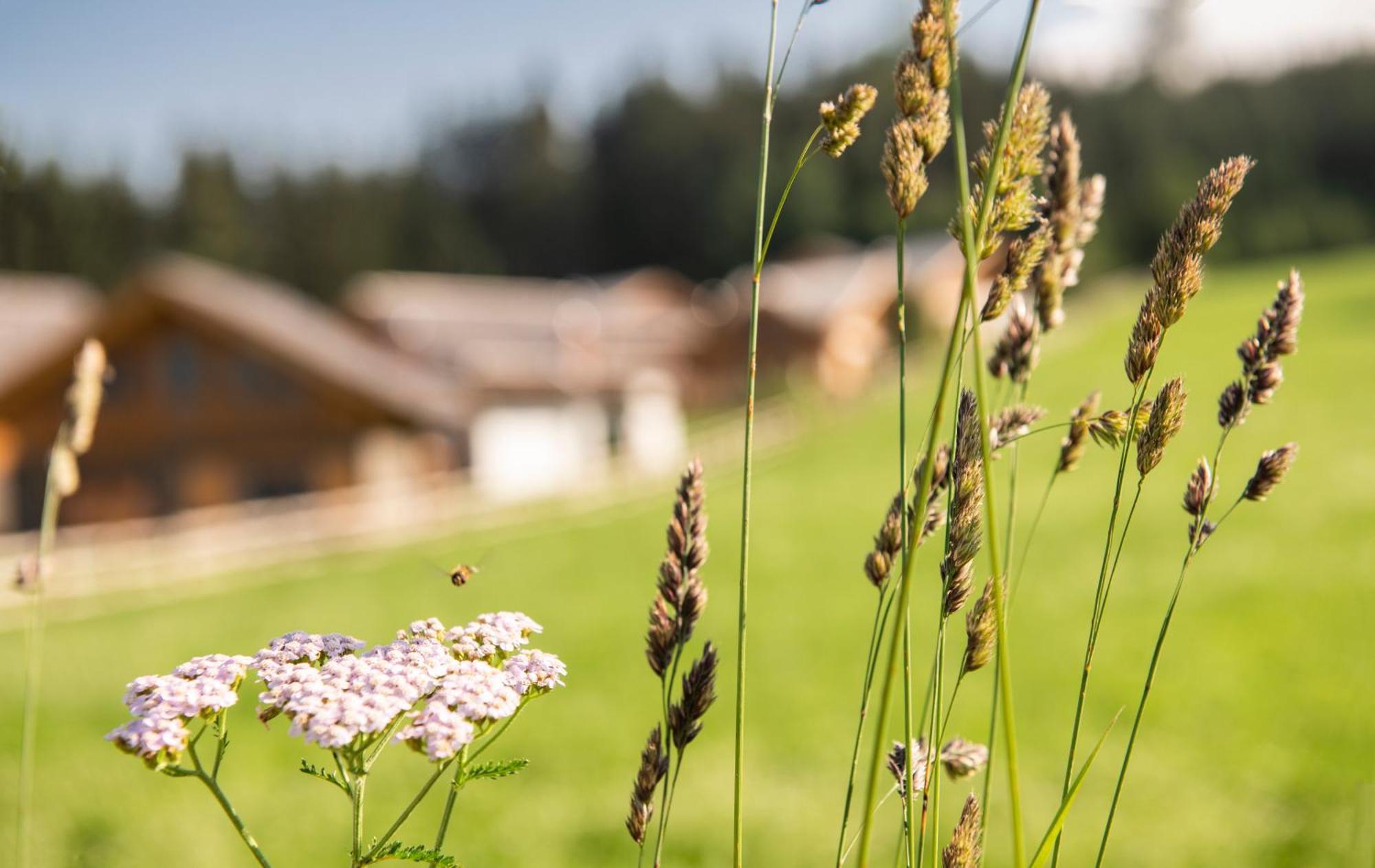 טאמסווג Lerchpeuntgut Alpenfreud Apartments מראה חיצוני תמונה